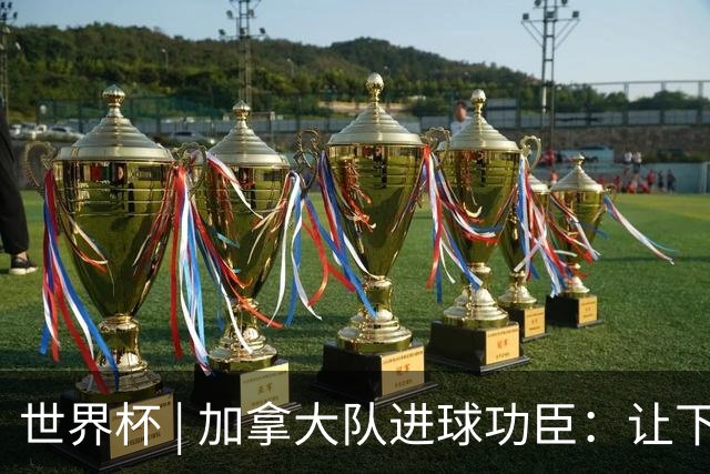 世界杯 | 加拿大队进球功臣：让下个对手“吃苦”