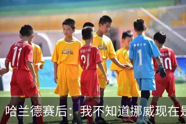 哈兰德赛后：我不知道挪威现在是几点，但我希望大家都在庆祝